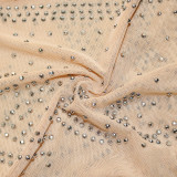Sexy Hot Drilling Mesh See Through Sling Jumpsuit SH-390219