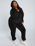 Solid Plush Hooded Long Sleeve 2 Piece Pants Set TE-4343