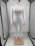 Plus Size Solid High Collar Long Sleeve 2 Piece Sets YIM-223