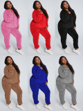 Solid Plush Hooded Long Sleeve 2 Piece Pants Set TE-4343
