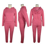 Solid Plush Hooded Long Sleeve 2 Piece Pants Set TE-4343