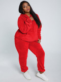 Solid Plush Hooded Long Sleeve 2 Piece Pants Set TE-4343