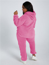 Solid Plush Hooded Long Sleeve 2 Piece Pants Set TE-4343
