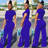 Casual Solid Color Short Sleeve And Pants 2 Piece Sets FSXF-61