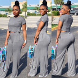 Casual Solid Color Short Sleeve And Pants 2 Piece Sets FSXF-61
