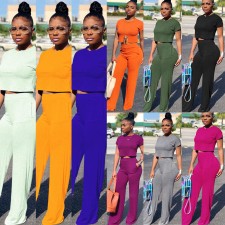 Casual Solid Color Short Sleeve And Pants 2 Piece Sets FSXF-61