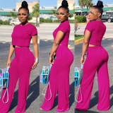 Casual Solid Color Short Sleeve And Pants 2 Piece Sets FSXF-61