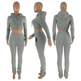 Solid Fleece Zipper Hoodie Coat Pile Pants 2 Piece Sets CH-8199