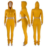 Solid Fleece Zipper Hoodie Coat Pile Pants 2 Piece Sets CH-8199