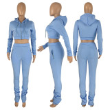 Solid Fleece Zipper Hoodie Coat Pile Pants 2 Piece Sets CH-8199