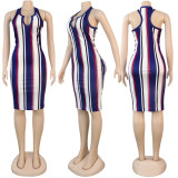 Sleeveless Color Striped Slim Dress FSXF-55