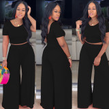 Plus Size Solid Short Sleeve Wide Leg Pants 2 Piece Sets XMY-9318