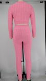 Solid Fitness Long Sleeve Zipper 2 Piece Pants Set XMY-9311 