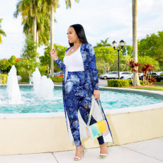 Plus Size Casual Printed Long Cloak And Pants 2 Piece Sets NY-8933