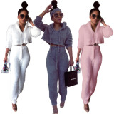 Plus Size Plush Hooded Long Sleeve 2 Piece Pants Set HNIF-061