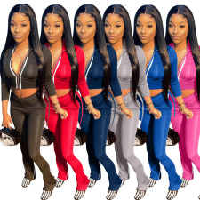 Casual Long Sleeve Zipper Top Split Pants 2 Piece Sets NM-8387