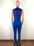 Sleeveless Feather Rhinestone Mesh Perspective Sexy Skinny Jumpsuit OSM-4095