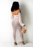 Sexy Cross Halter Mesh Perspective Dress OSM-4347