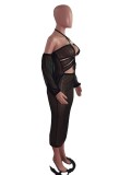 Sexy Cross Halter Mesh Perspective Dress OSM-4347