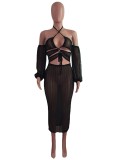 Sexy Cross Halter Mesh Perspective Dress OSM-4347