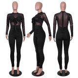 Solid Color Sexy Long Sleeve Jumpsuit PN-6691