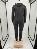 Plus Size Sports Hooded Zipper Two Piece Sets YIM-226