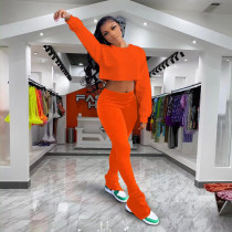 Solid Long Sleeve Crop Top Pile Pants 2 Piece Sets YD-8544