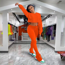 Solid Long Sleeve Crop Top Pile Pants 2 Piece Sets YD-8544