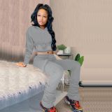 Solid Fleece Hoodie Top Pile Pants Casual Two Piece Sets AL-269