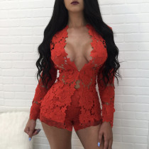 Sexy Lace Long Sleeve Top And Shorts 2 Piece Sets TE-4345
