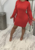 Solid Tassel Long Sleeve Slim Mini Dress MTY-6601