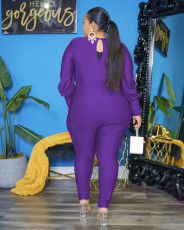 Plus Size Solid V Neck Long Sleeve Jumpsuit MXDF-6068