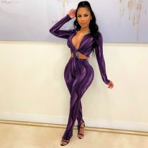 Sexy Printed Long Sleeve 2 Piece Pants Set HNIF-064