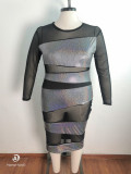 Plus Size Sexy Mesh See Through Long Sleeve Midi Dress OSM-7009