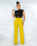 Solid High Waist Back Zipper Straight Pants MZ-2677