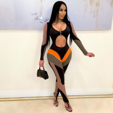Sexy Hollow Out Long Sleeve Skinny Jumpsuit FSXF-F329
