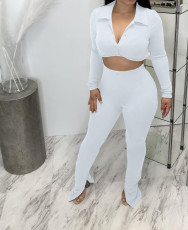 Solid Long Sleeve Crop Top Split Pants 2 Piece Sets BGN-217
