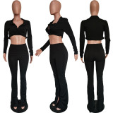 Solid Long Sleeve Crop Top Split Pants 2 Piece Sets BGN-217
