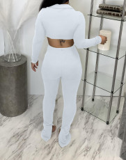 Solid Long Sleeve Crop Top Split Pants 2 Piece Sets BGN-217
