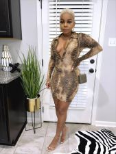 Snake Skin Print Deep V Neck Long Sleeve Bodycon Dress HMS-5522