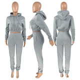 Solid Fleece Hoodies And Pants Two Piece Sets CH-8201