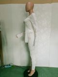 Solid Long Sleeve Split Top And Pants 2 Piece Sets BN-9308