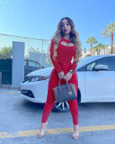 Sexy Printed Long Sleeve Two Piece Sets OMY-80077