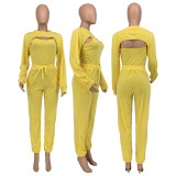 Solid Long Sleeve Crop Top+Camisole+Pants 3 Piece Sets GLF-10078