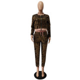 Velvet Sequin Zipper Coat And Pants 2 Piece Sets CM-2169