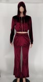 Velvet Hooded Zipper Coat And Pants 2 Piece Sets XMY-9341