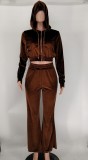 Velvet Hooded Zipper Coat And Pants 2 Piece Sets XMY-9341