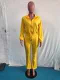 Plus Size Solid Zipper Long Sleeve 2 Piece Pants Set OMY-80081