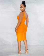 Sexy Patchwork Off Shoulder Bodycon Dress BS-1302