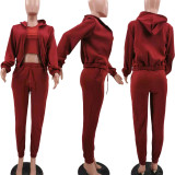 Solid Fleece Zipper Hoodie+Tank Top+Pants 3 Piece Sets TK-6209
